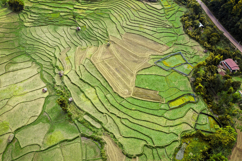 นาข้าวขั้นบันได 2565