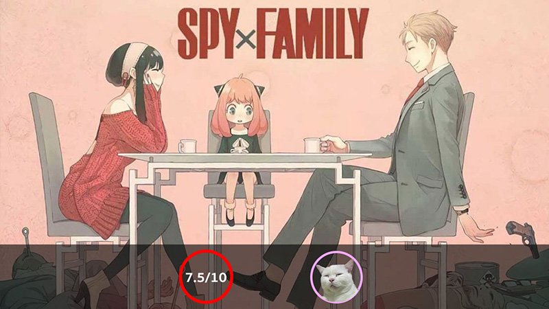 spy x family