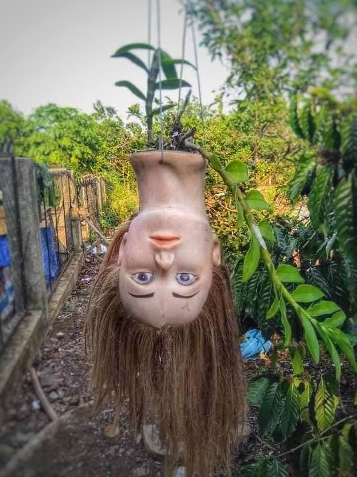 กระถางต้นไม้