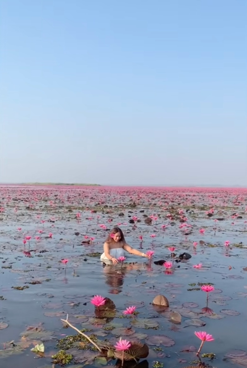 ทะเลบัวแดง