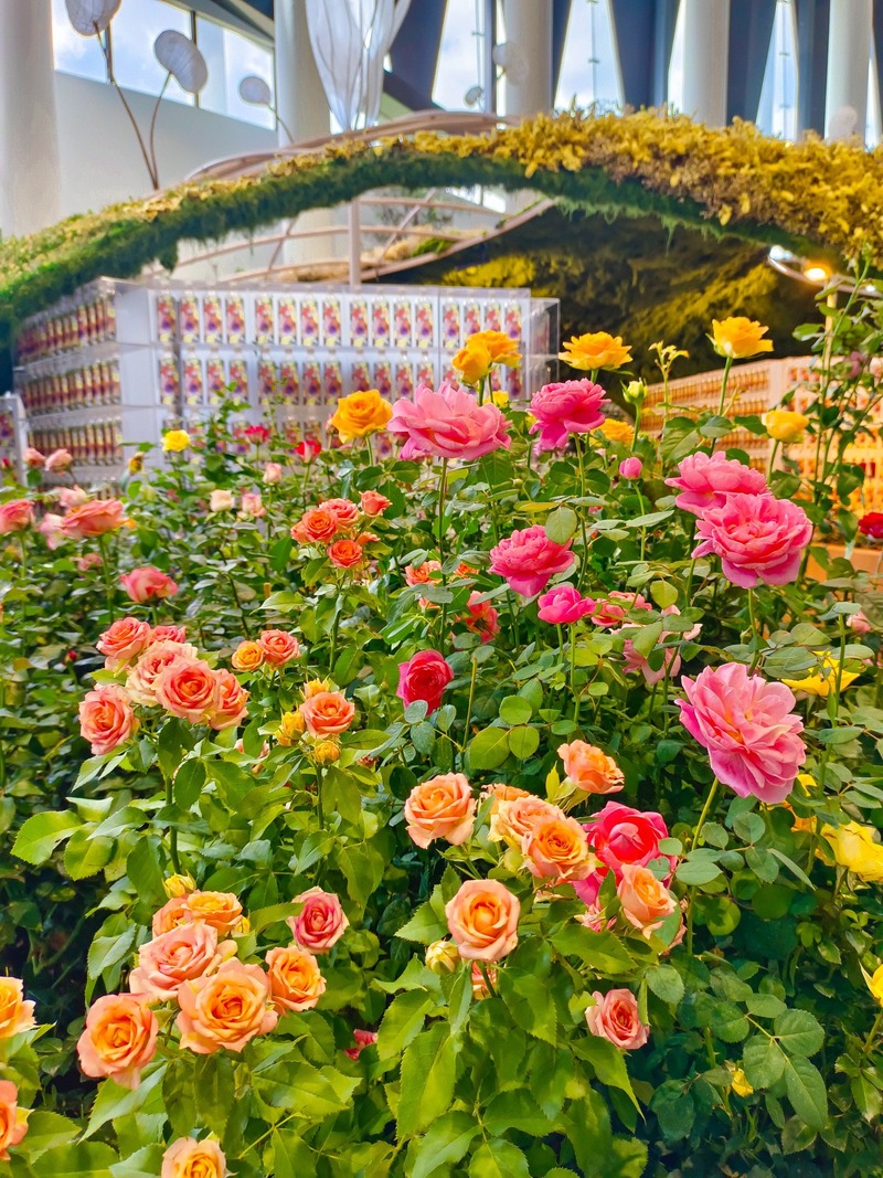 นิทรรศการพรรณไม้ Wondrous Bloom