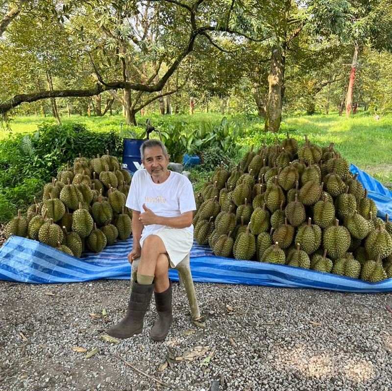 ชลิต เฟื่องอารมย์