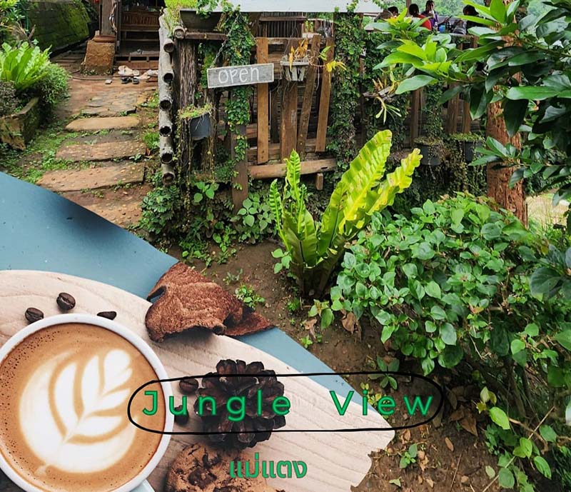 Jungle View Coffee คาเฟ่แม่แตง เชียงใหม่