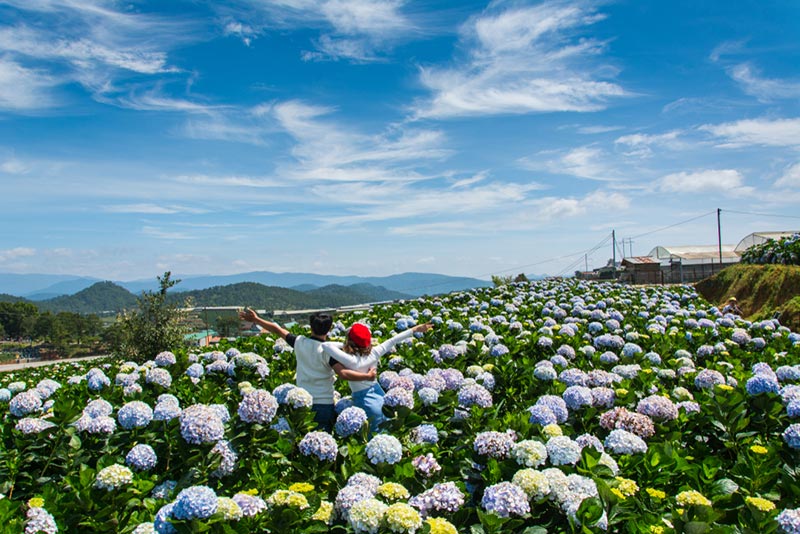 สวนดอกไม้ดาลัด