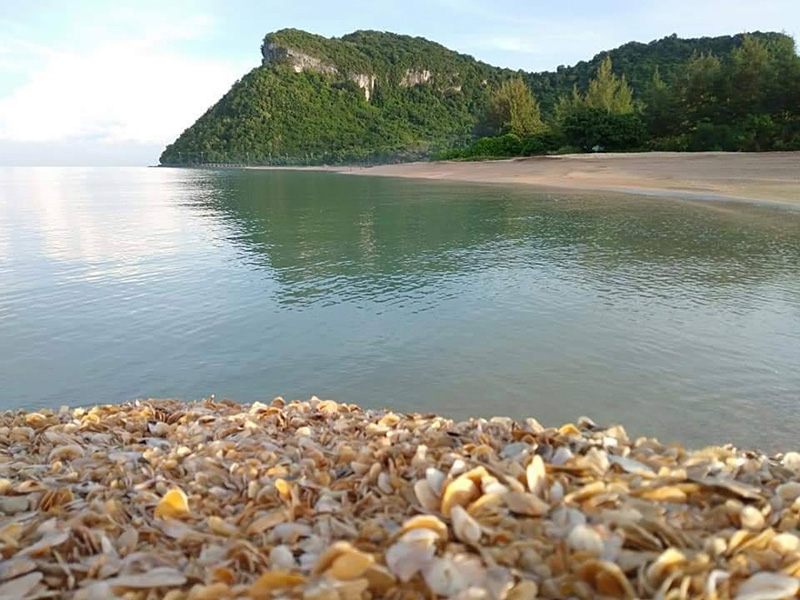 เกาะนกเภา สุราษฎร์ธานี