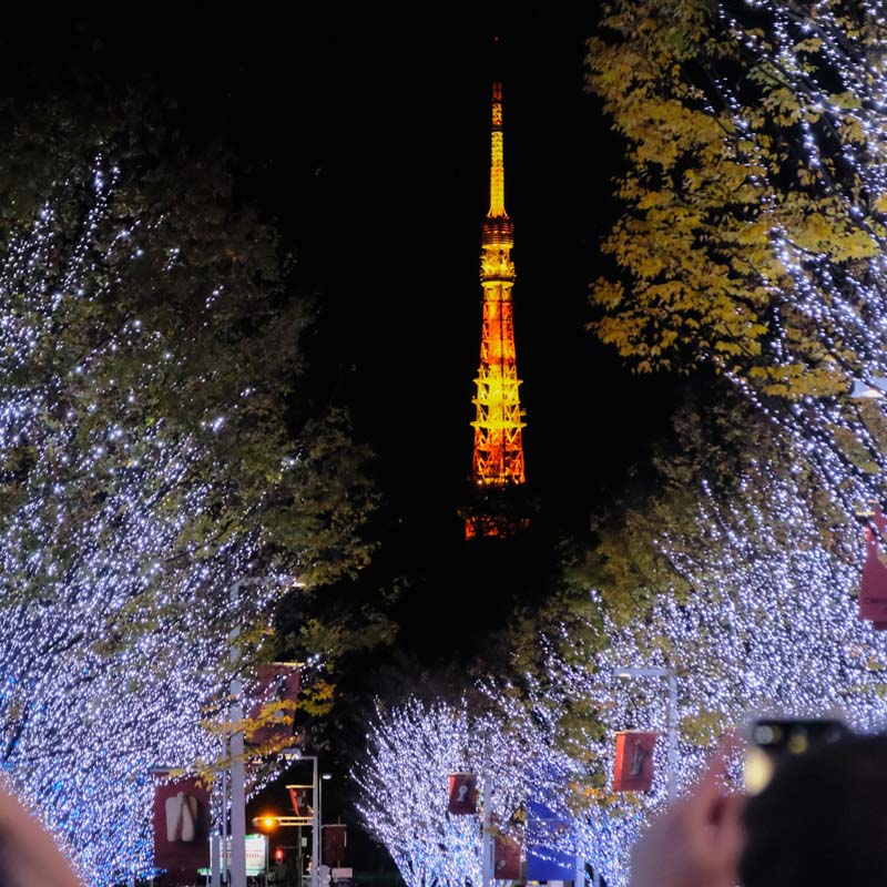 งานไฟ Tokyo illumination 2024