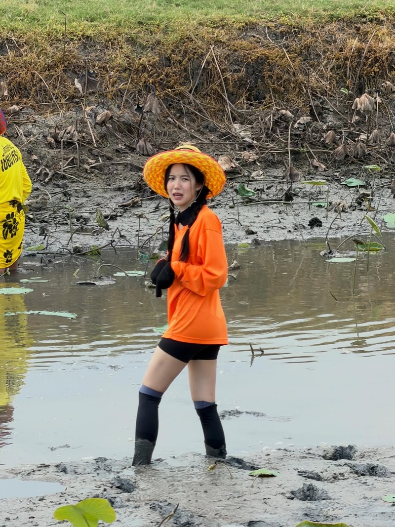 เจนิส เจณิสตา