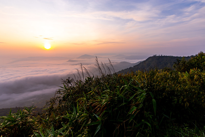 ที่เที่ยวเดือนพฤศจิกายน 2563