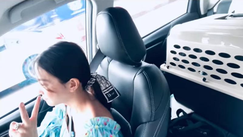 เวียร์ วิกกี้