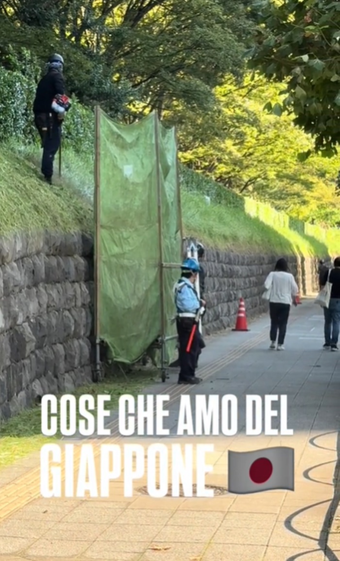 ตัดหญ้า