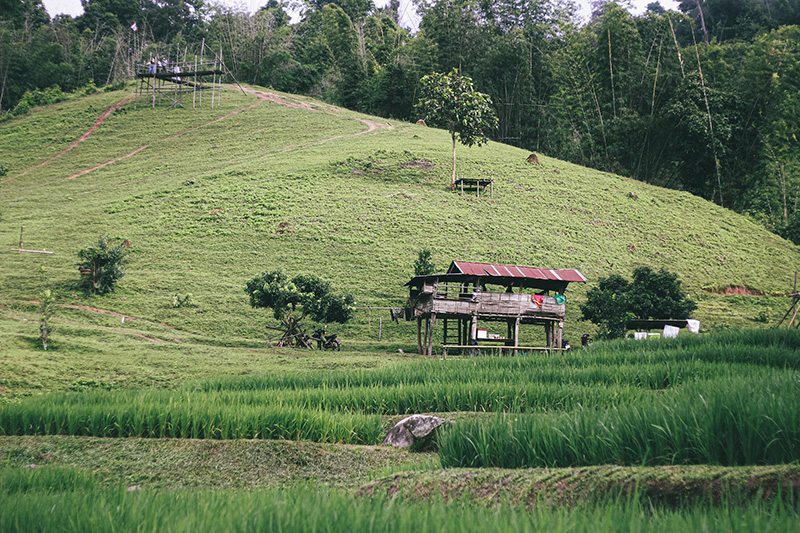 บ้านลิไข่ กระท่อม