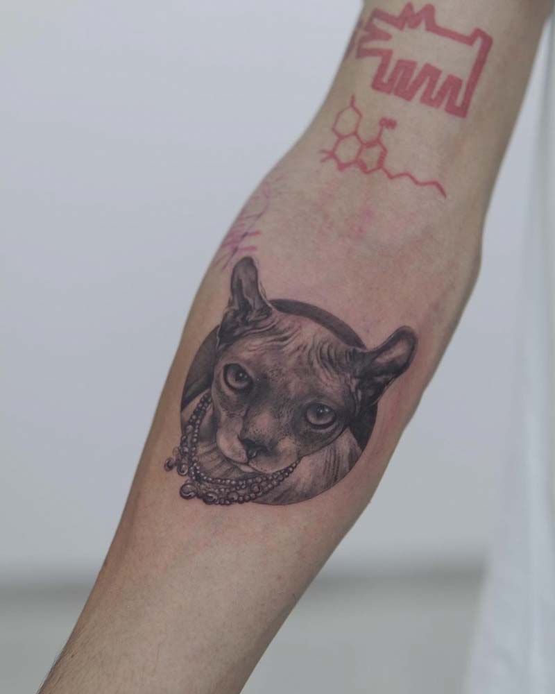 เบิร์ด เทคนิค บ๊วย