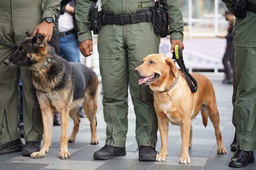 ไอคอนสยาม