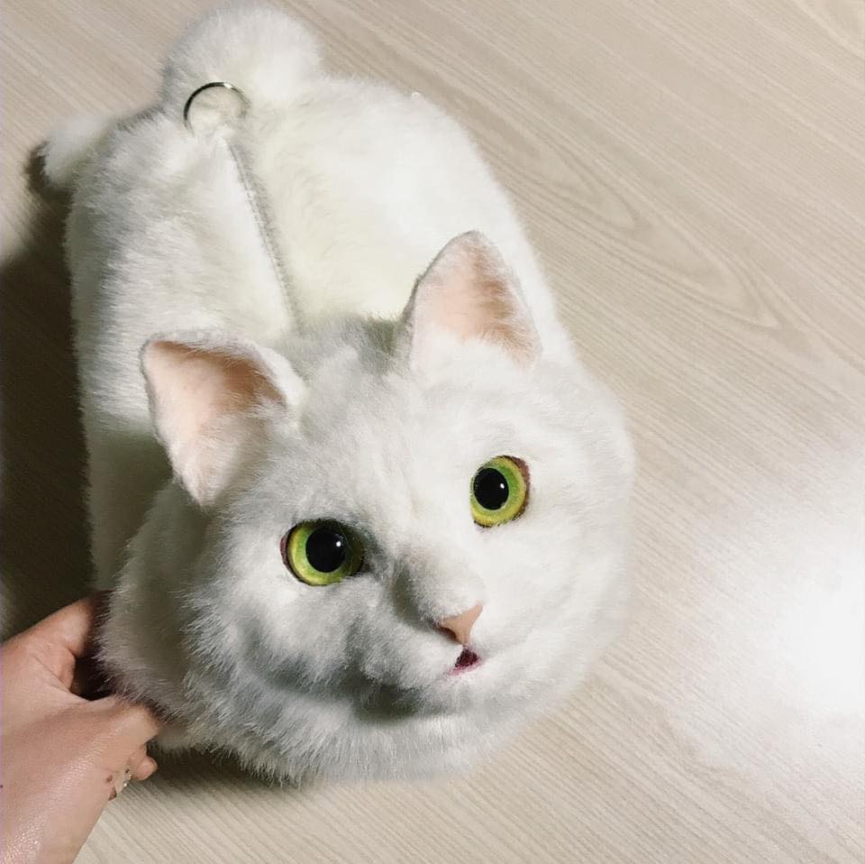 กระเป๋าแมว