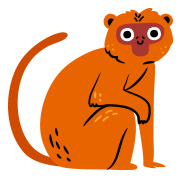 ดูดวง 12 นักษัตร