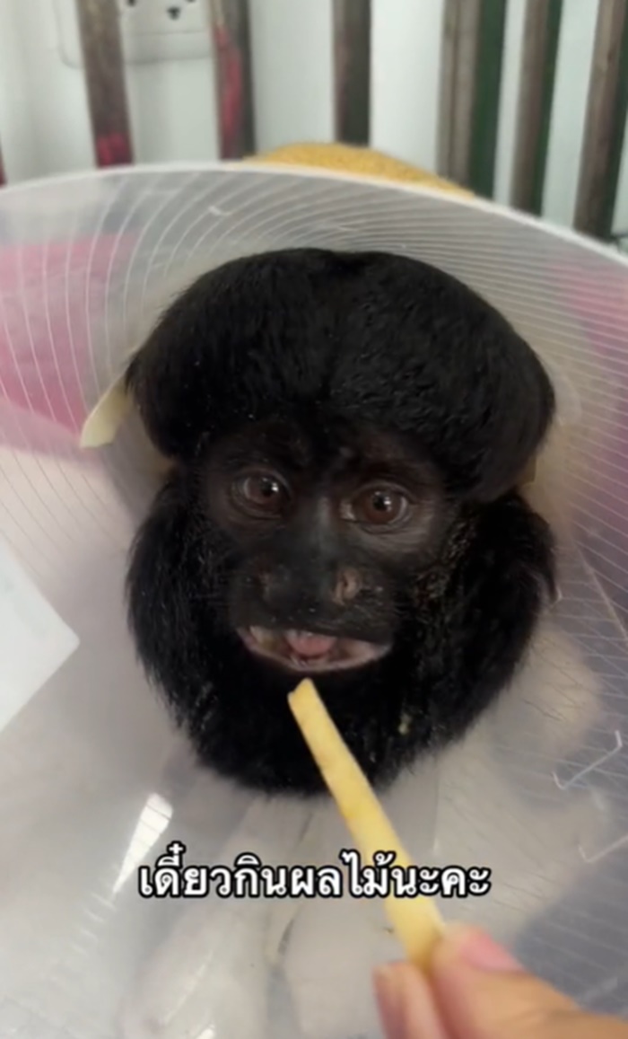 ชื่อคนไข้