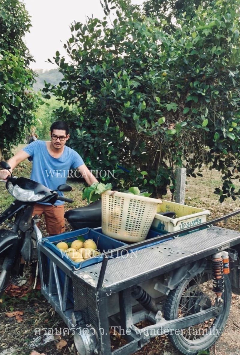 เวียร์ ศุกลวัฒน์