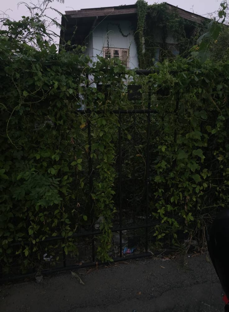 นอนบ้านเพื่อน