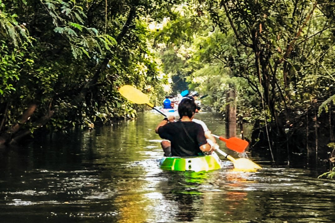 ล่องเรือคายัค