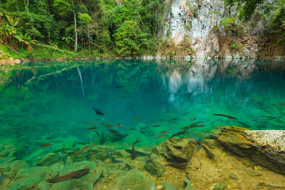 สถานที่ท่องเที่ยวภาคเหนือ