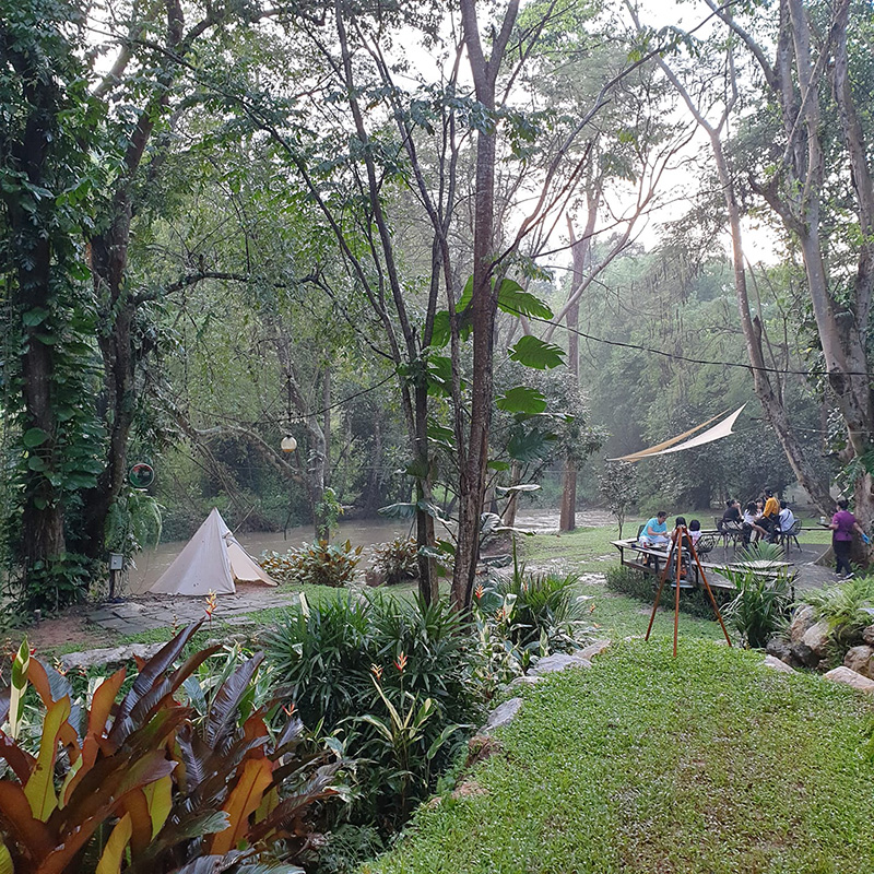 ลานกางเต็นท์
