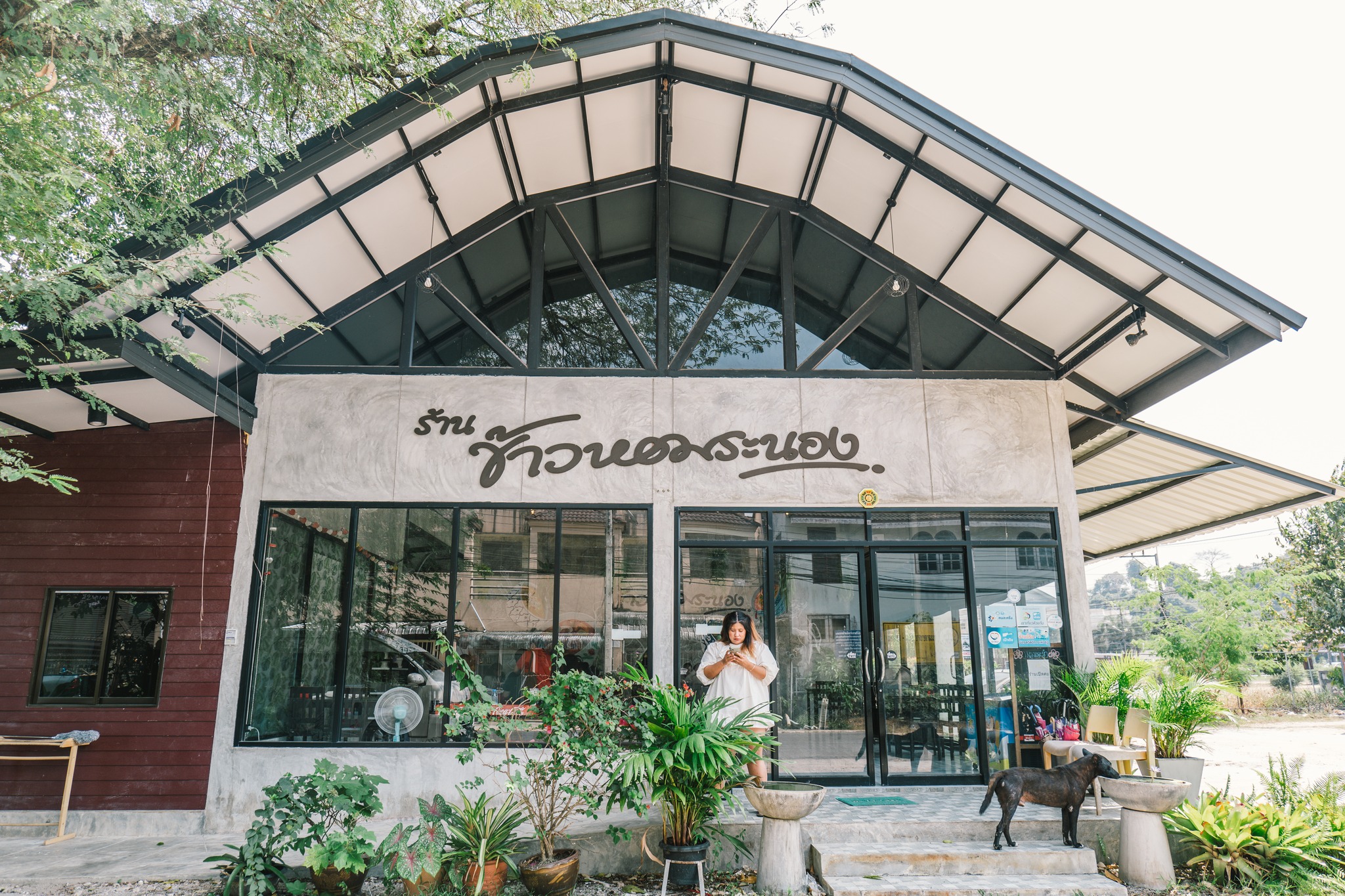 เที่ยวระนอง