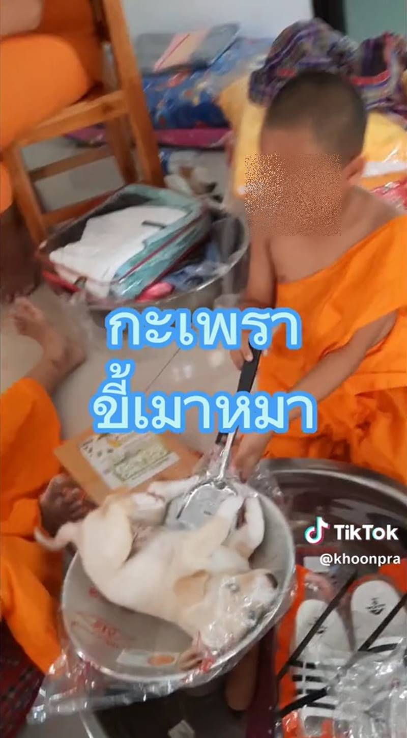 เณรผัดกะเพราหมา