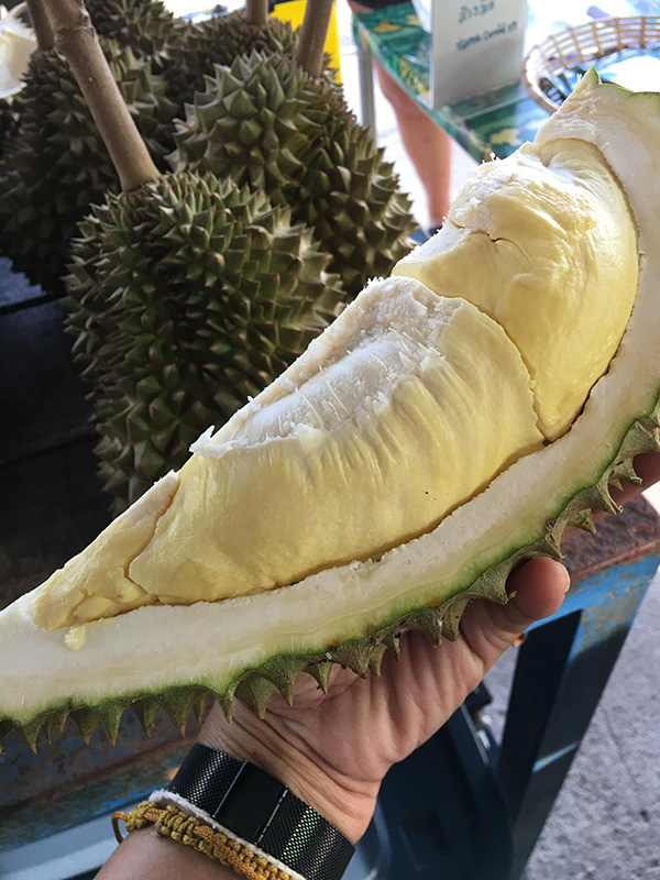 สวนผลไม้