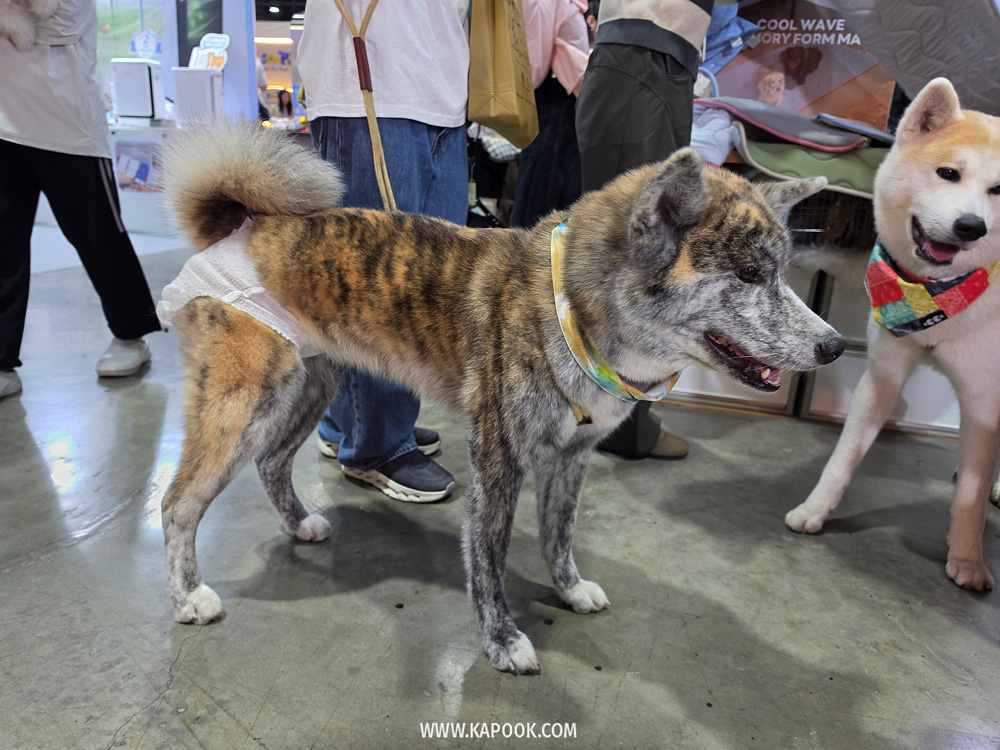 งาน Pet Expo Championship 2026