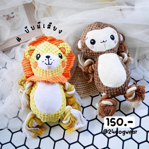 ร้านเสื้อผ้าสุนัข ชุดแมวน่ารัก ๆ