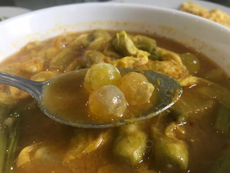 แกงเหลือง