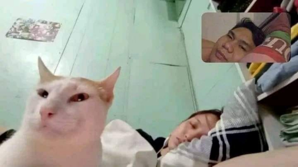 วิดีโอคอล