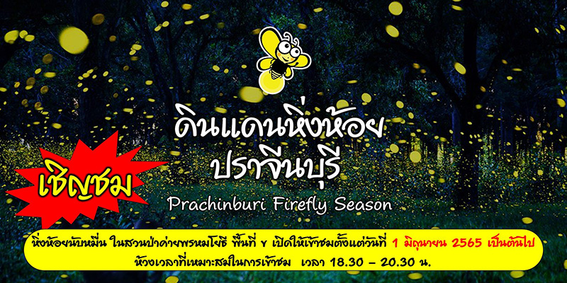ดินแดนหิ่งห้อย ปราจีนบุรี