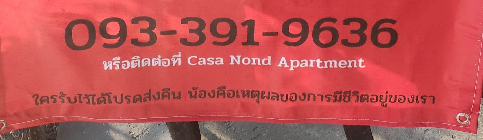 ป้ายประกาศแมวหาย