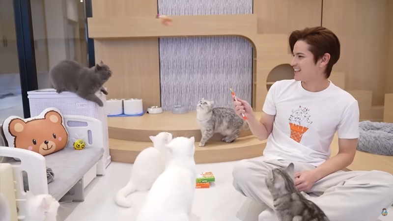 ห้องแมว บ้าน เต๋า เศรษฐพงศ์