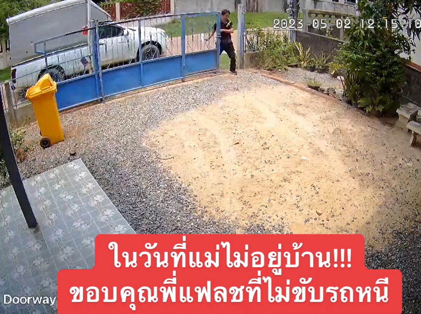 หมาโกลเด้น