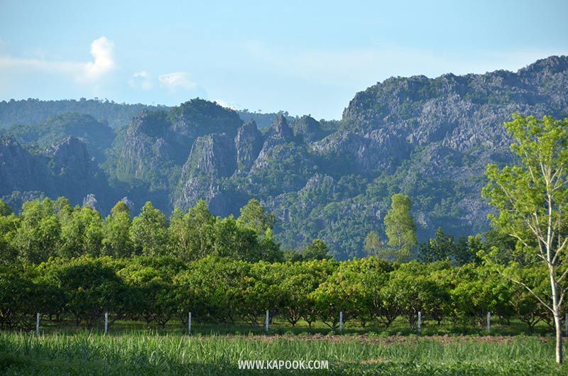 เนินมะปราง พิษณุโลก
