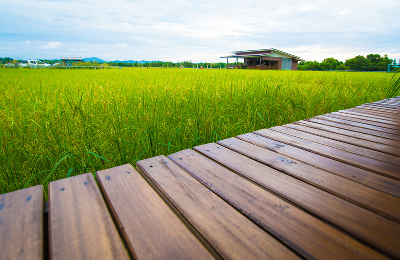 หมู่บ้านท่องเที่ยว