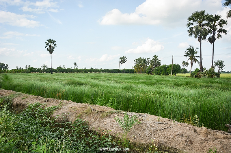 เที่ยวสุพรรณบุรี