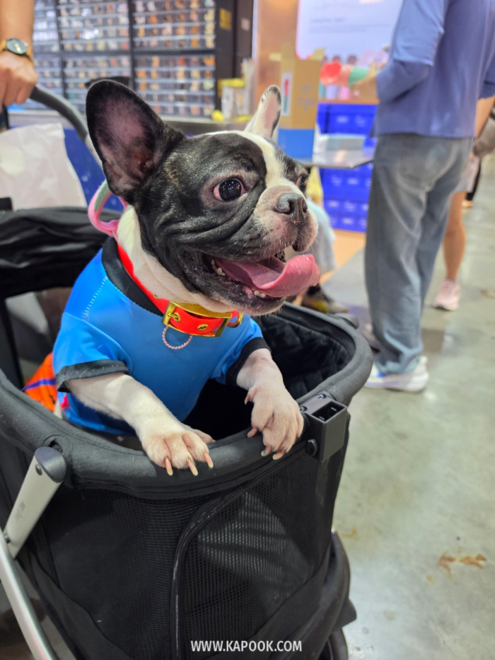งาน Pet Expo Championship 2026