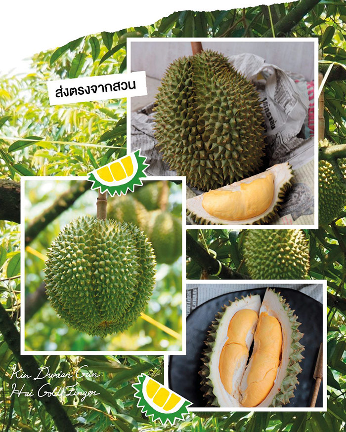 บุฟเฟ่ต์ทุเรียน กรุงเทพ