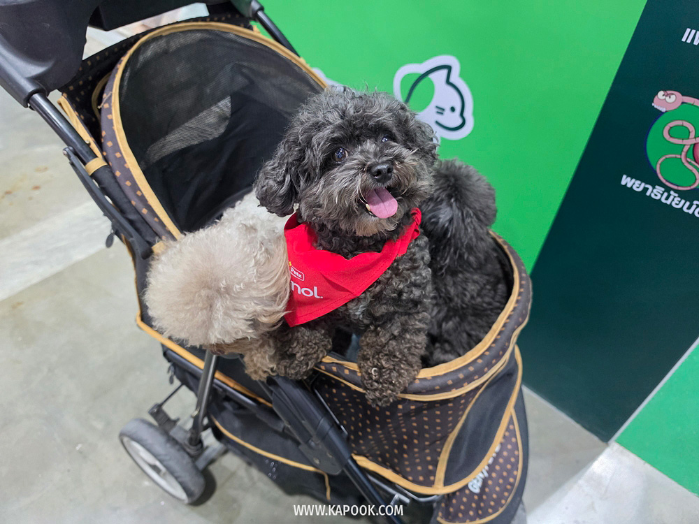 งาน Pet Expo Championship 2026