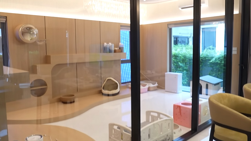 ห้องแมว บ้าน เต๋า เศรษฐพงศ์
