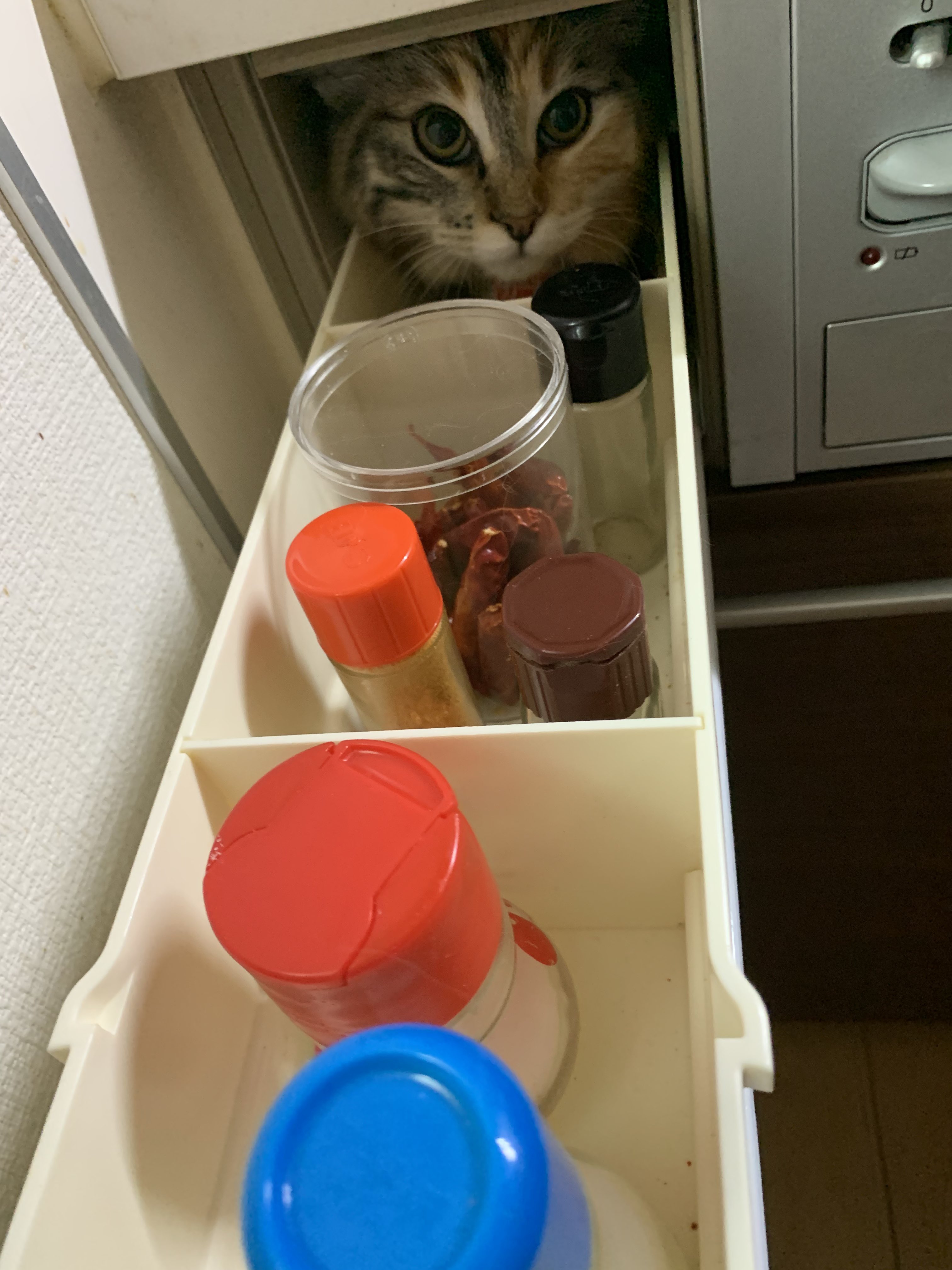 ห้องครัว