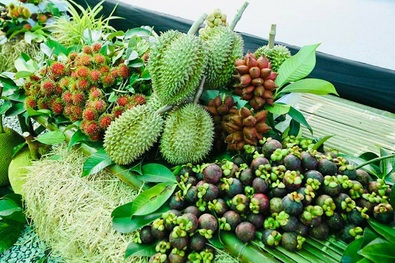 สวนผลไม้