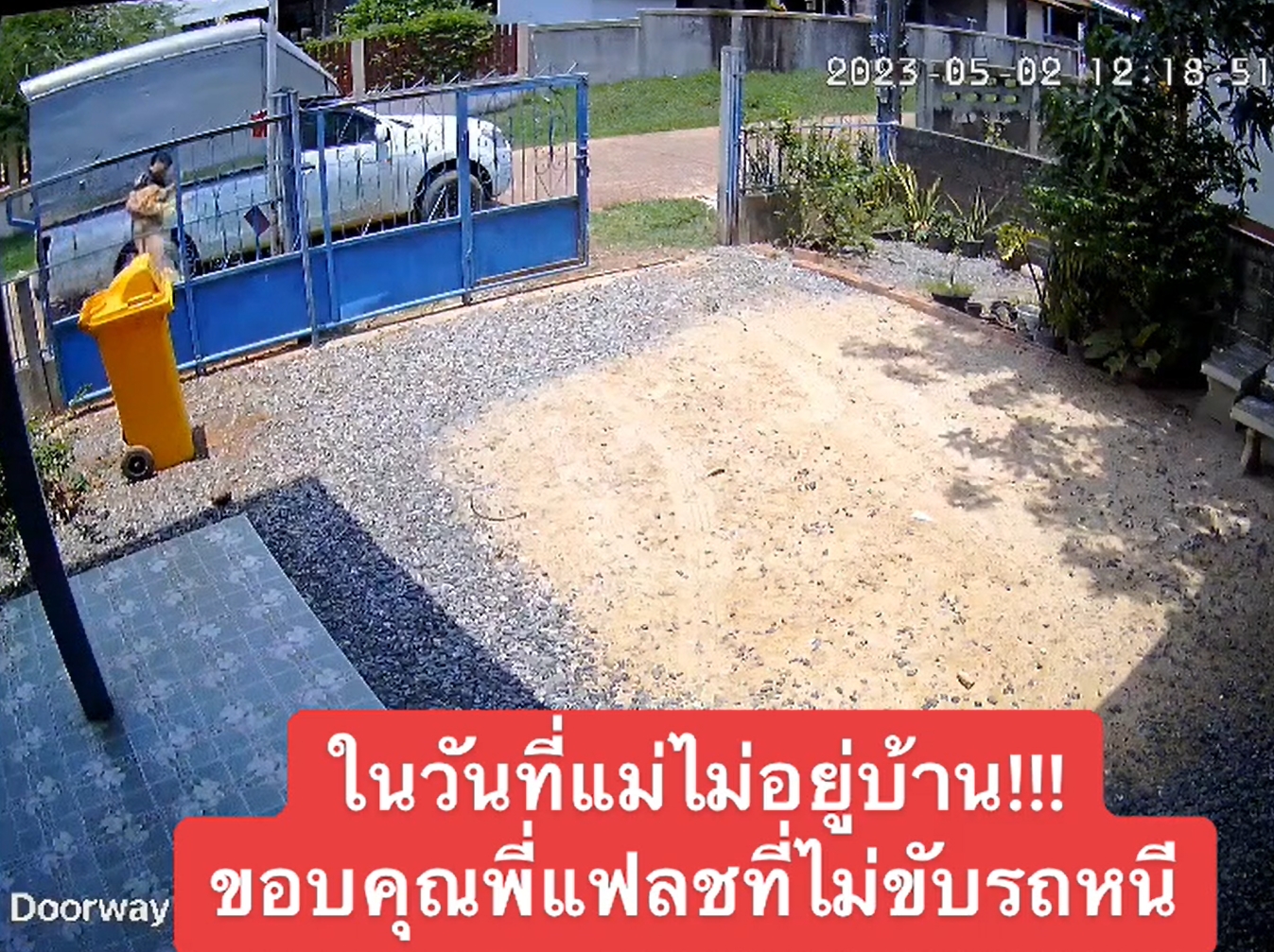 หมาโกลเด้น