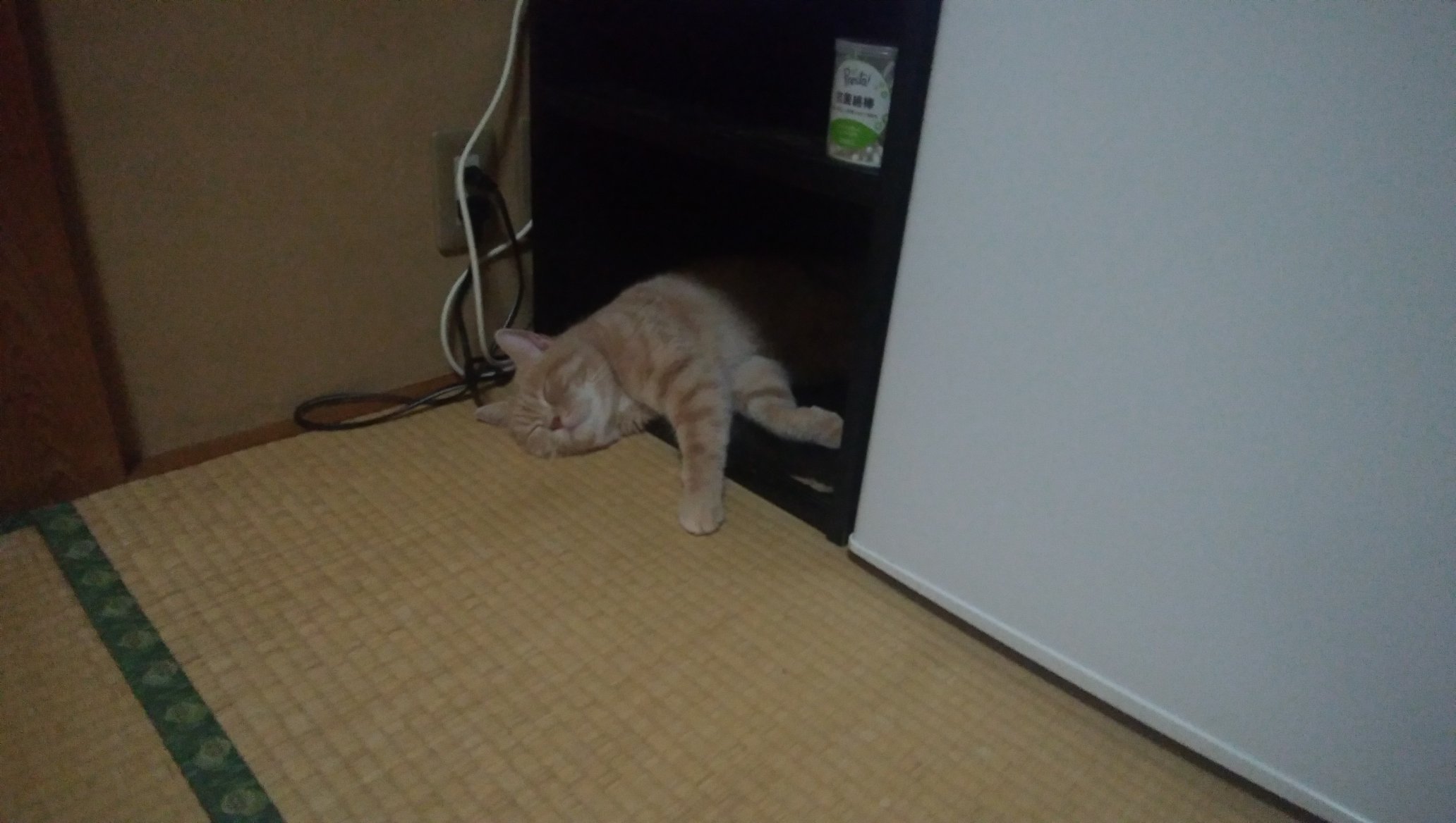 โรงแรมญี่ปุ่น