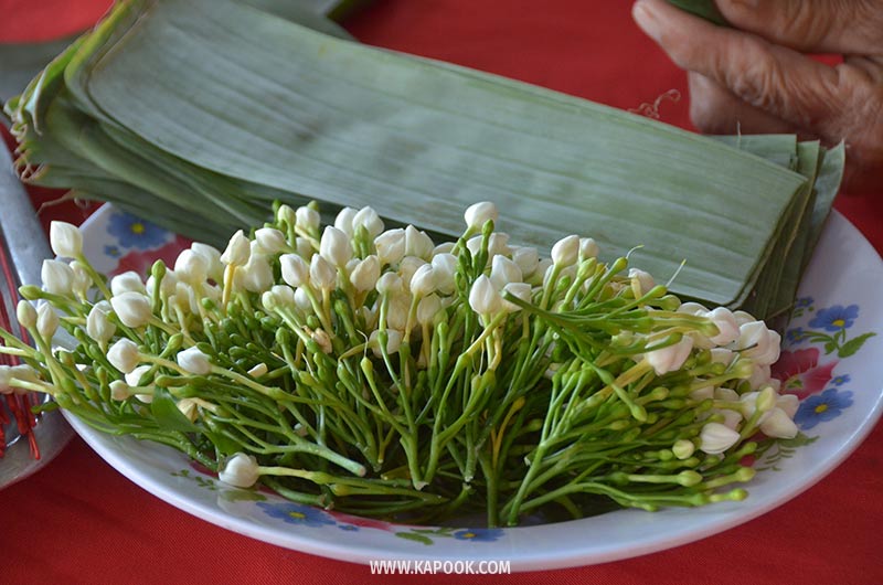 เนินมะปราง พิษณุโลก