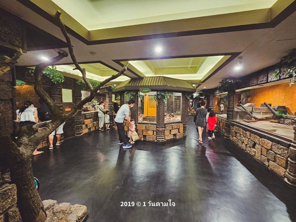 ที่เที่ยวกรุงเทพ สวนสัตว์พาต้า