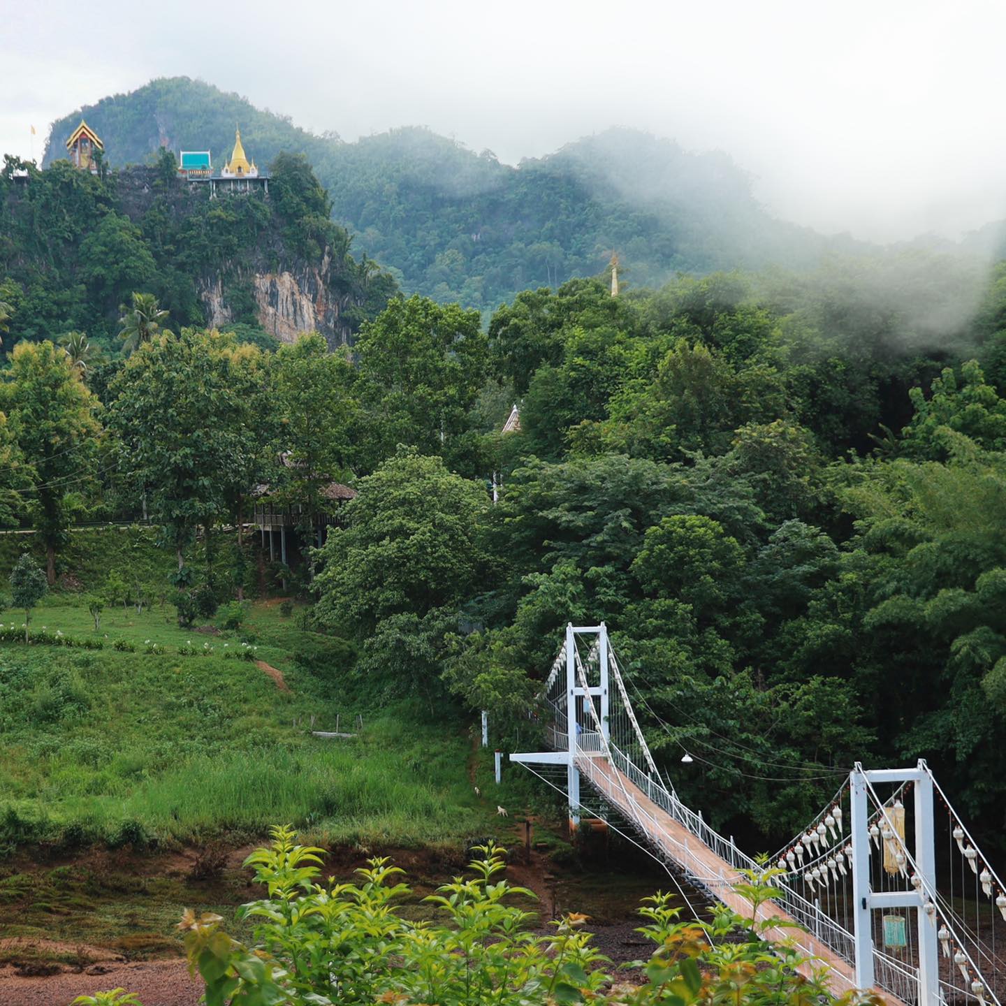 สะพานแขวนหลวงปู่สาย